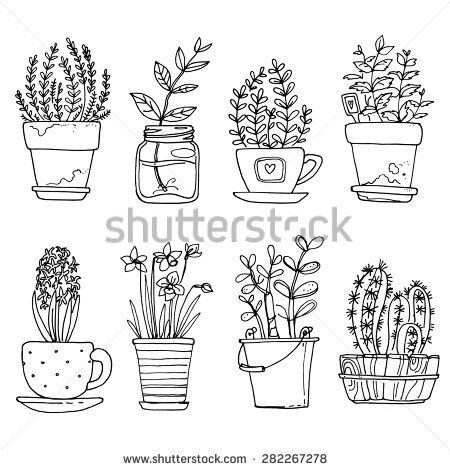 450x470 Flowers In Pots Painted Black Line On A White Background. Vector - Plant Pot Sketch