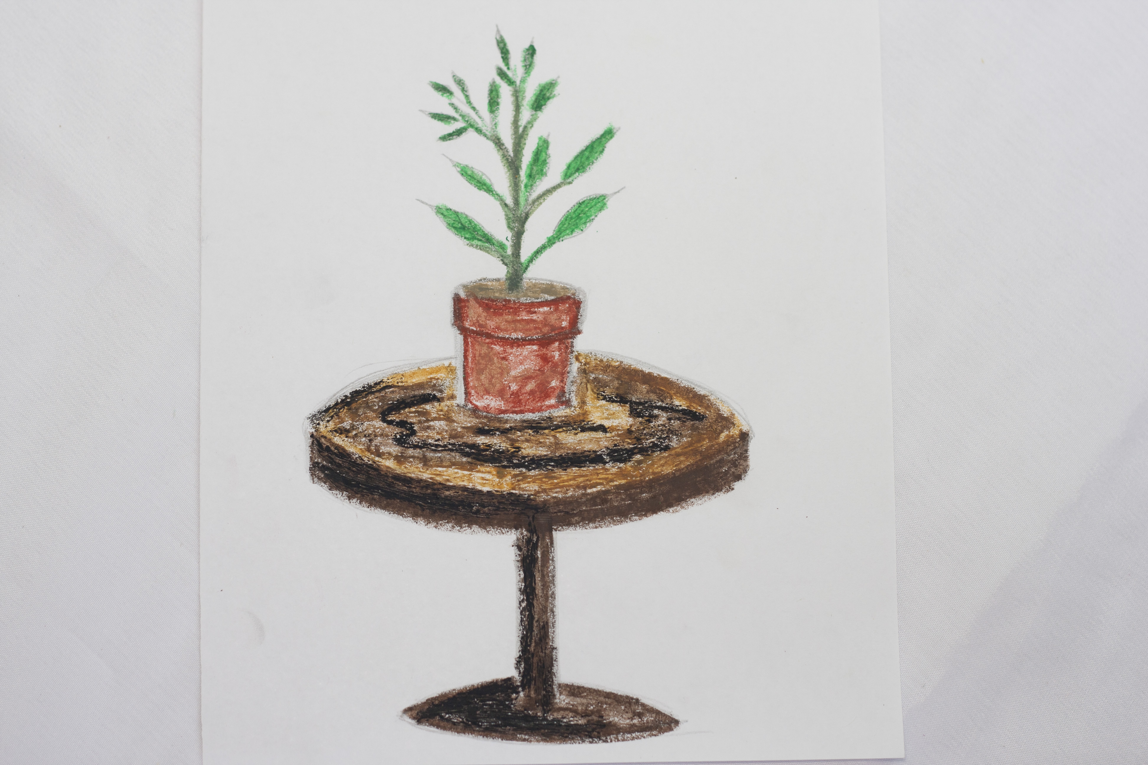 3888x2592 How To Draw A Potted Plant 8 Steps (With Pictures) - Plant Pot Sketch