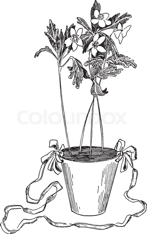 505x800 May Flower Basket Is A Water Proof Paper Flower Pot, A Flowerpot - Plant Pot Sketch