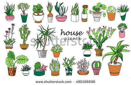 450x293 Big Set Of House Plant Isolated. Vector Colorful Sketch House - Plant Pot Sketch