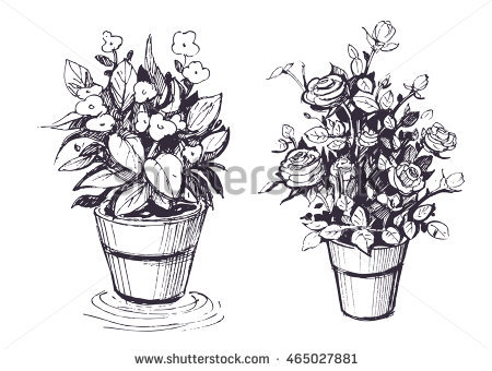 450x340 Photos Sketch Flower In A Pot Pics, - Plant Pot Sketch
