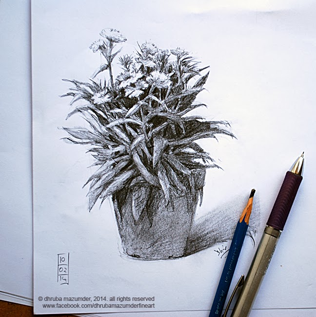 648x650 Dhruba Mazumder - Plant Pot Sketch