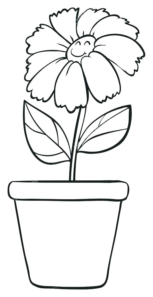 Plant Pot Sketch at Explore collection of Plant