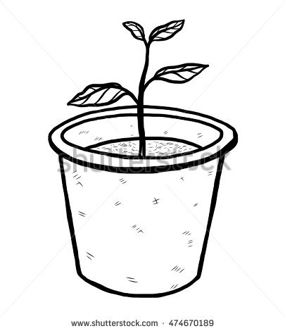 405x470 Drawn Pot Plant Sketch - Plant Pot Sketch