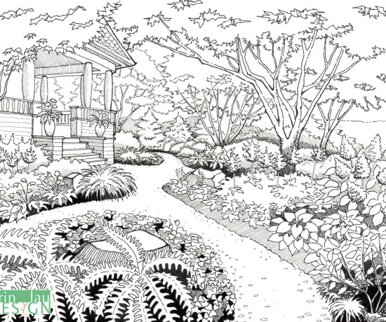 550x460 How To Draw Plants Drawntogarden - Plant Sketch