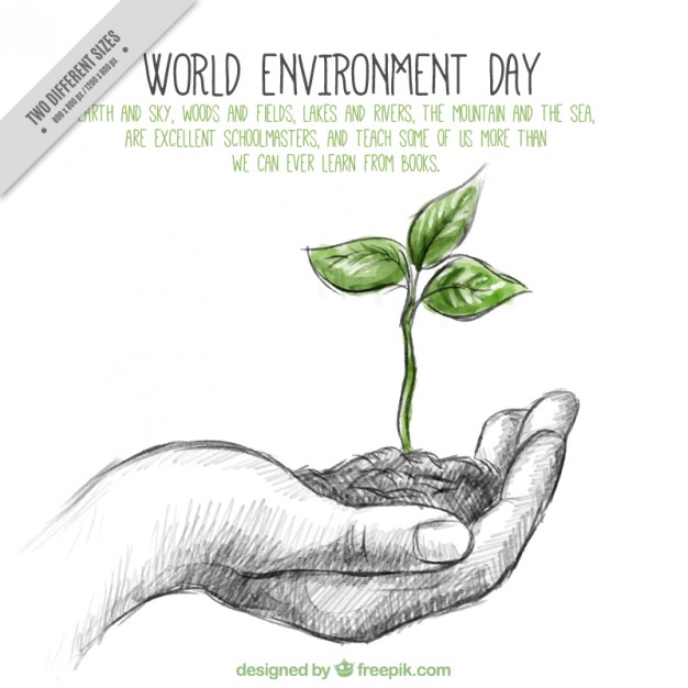 626x626 Realistic Sketch Hand With A Plant Background Vector Free Download - Plant Sketch