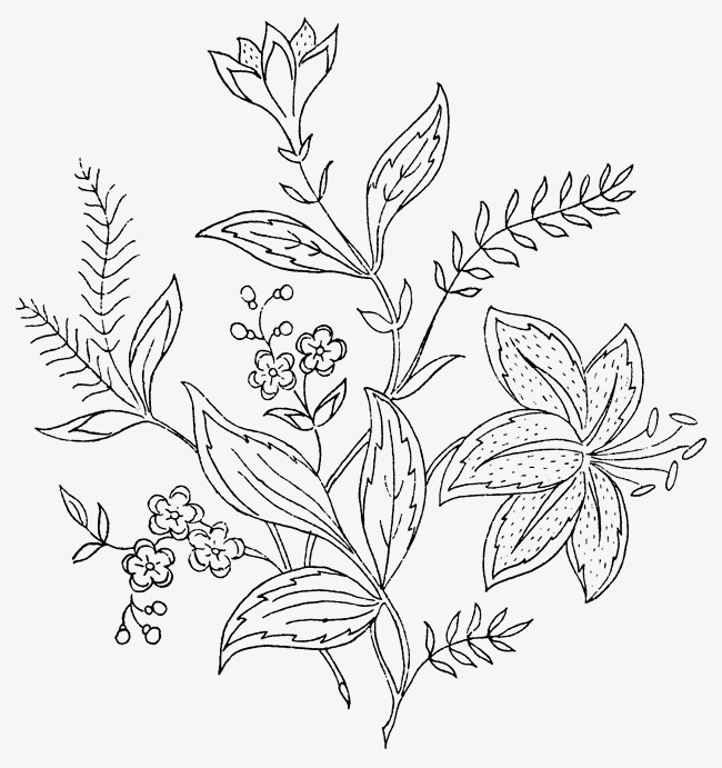650x691 Sketch Of Plants, Plants Clipart, Sketch, Plant Png Image And - Plant Sketch