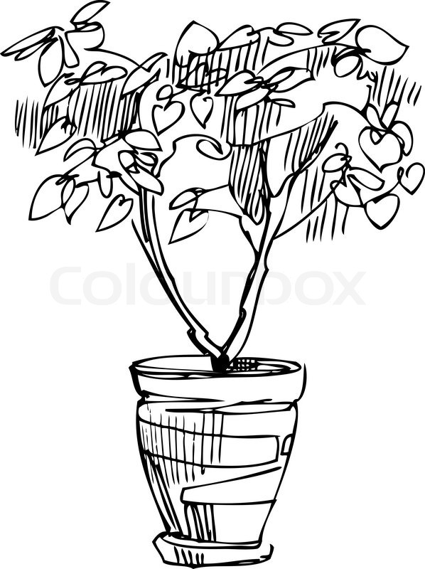 598x800 Sketch Room Plant Flower In A Pot Stock Vector Colourbox - Plant Sketch