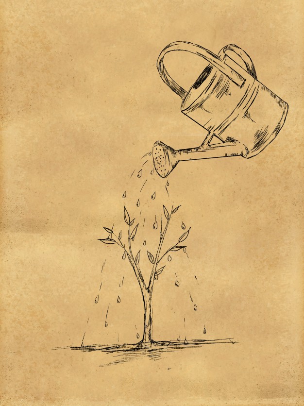 626x836 Watering Plant Sketch On Paper Photo Free Download - Plant Sketch