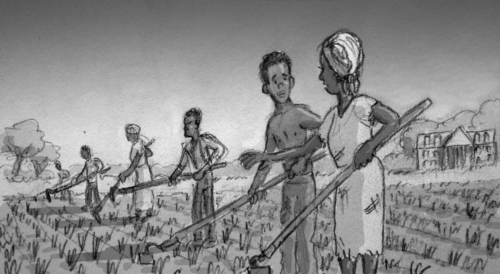 1000x549 Guinea Sam Sketch Examples John Hare - Plantation Sketch