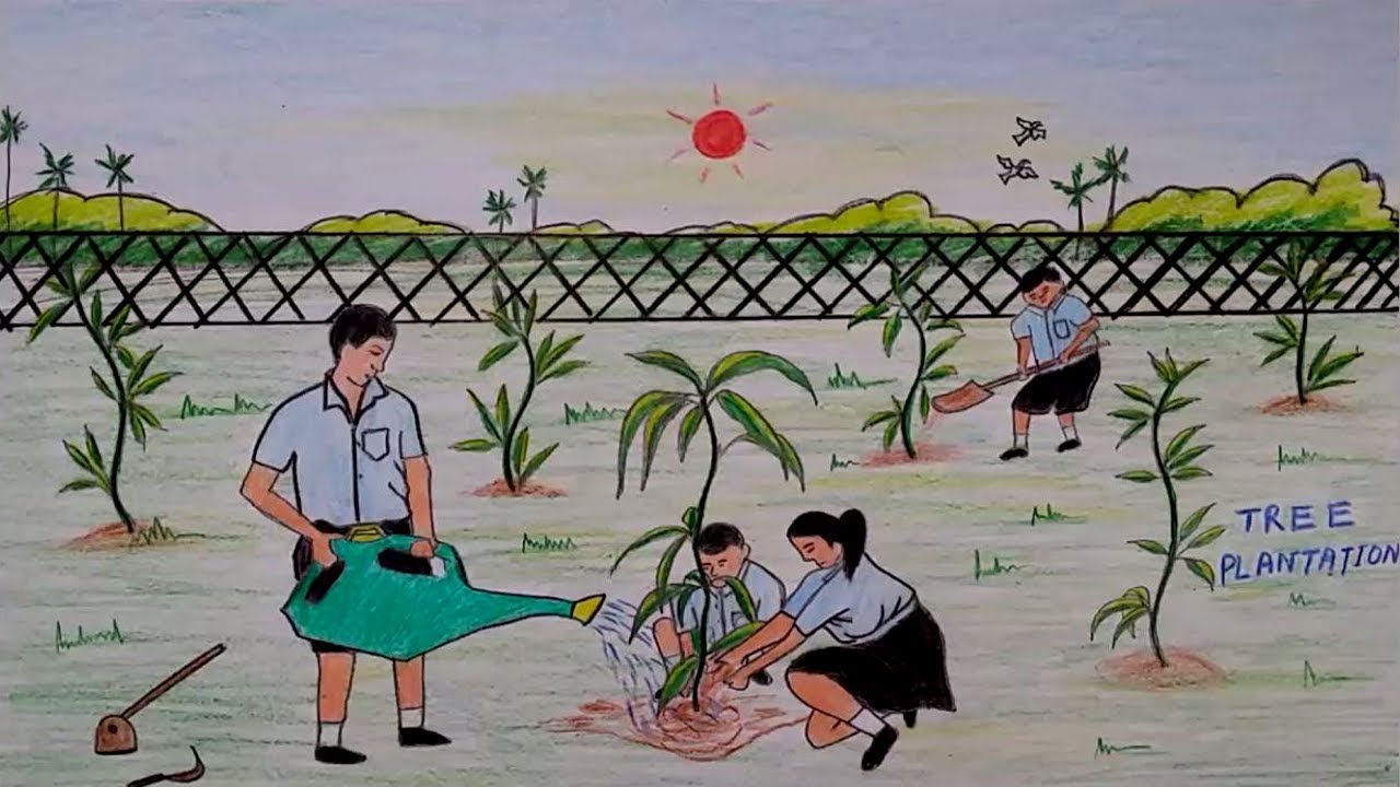 1280x720 How To Draw A Scenery Of Tree Plantation Step By Step - Plantation Sketch