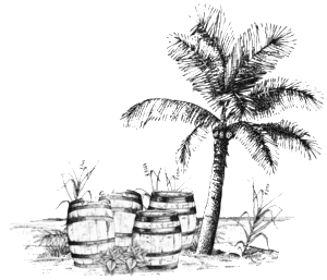 300x257 19 Plantation Drawing Sketch Huge Freebie! Download For Powerpoint - Plantation Sketch