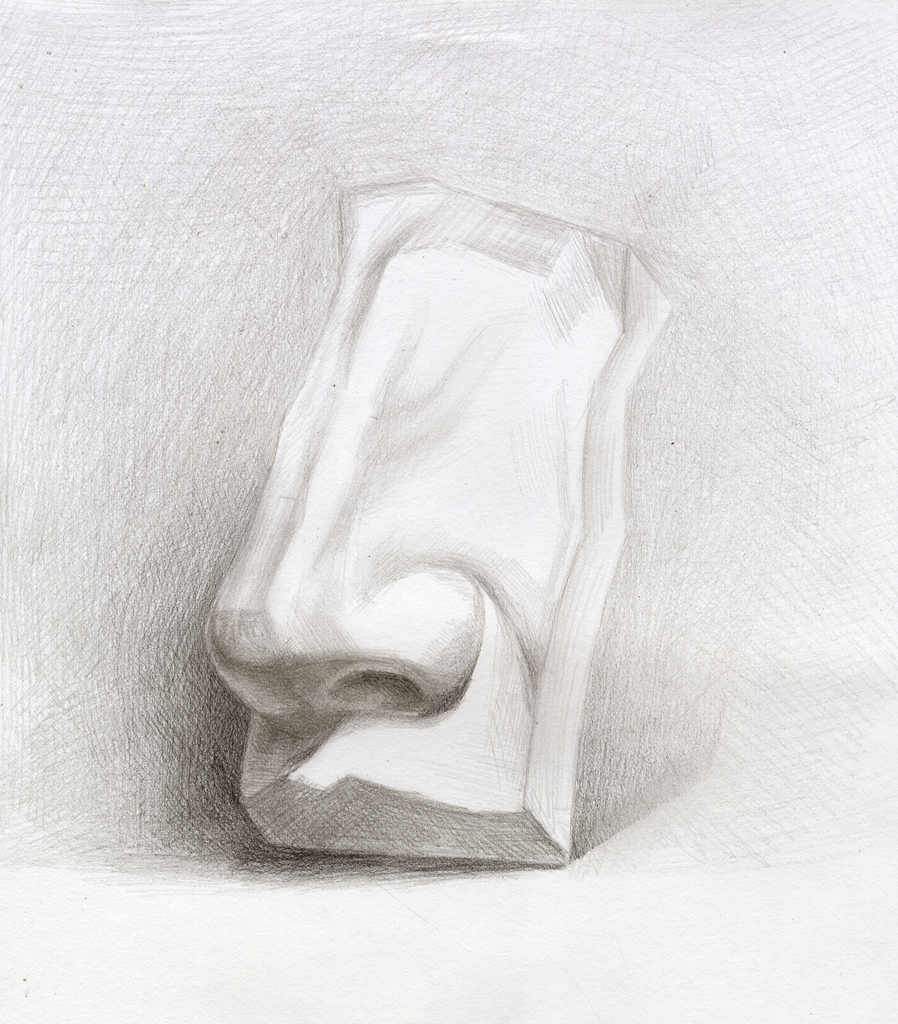 898x1024 Plaster Cast Sketch (Nose) This Is A Quick Study Of The - Plaster Sketch