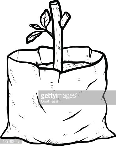 370x466 Growth Plant In Plastic Bag Stock Vectors - Plastic Bag Sketch