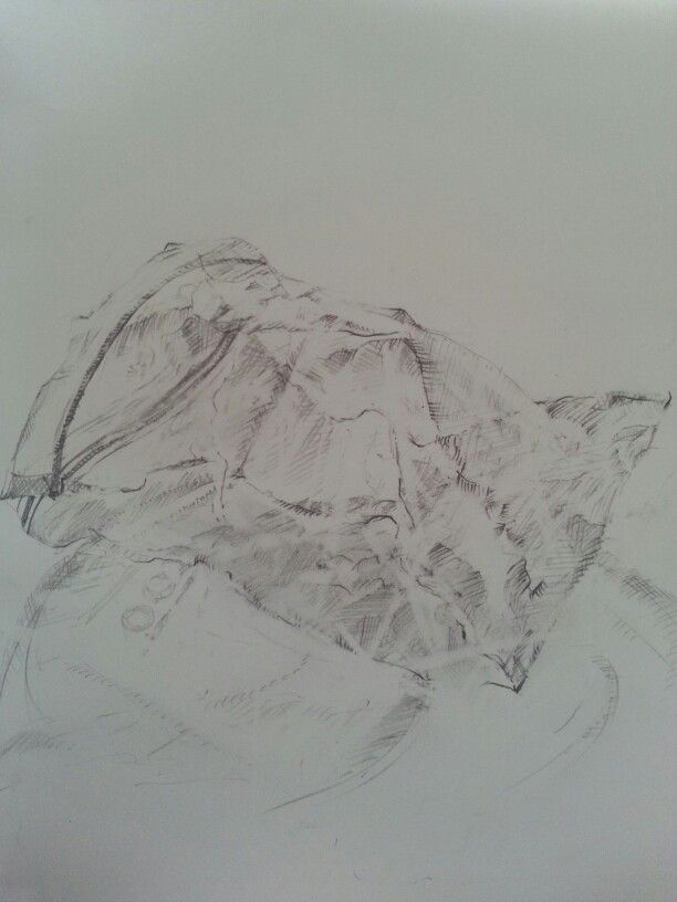 612x816 Plastic Bag Pencil Sketching - Plastic Bag Sketch