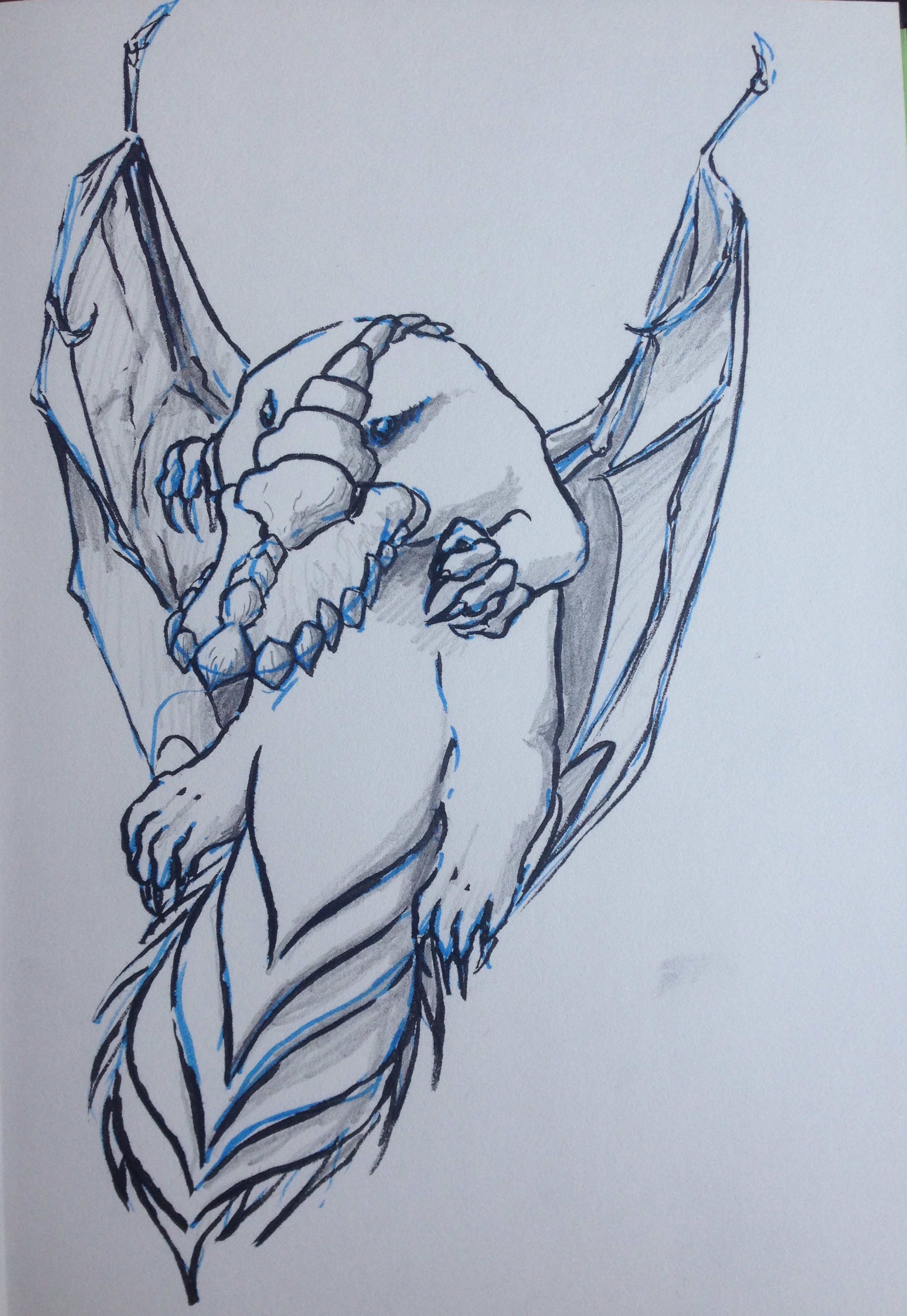 2131x3094 Platypus Dragon - Platypus Sketch