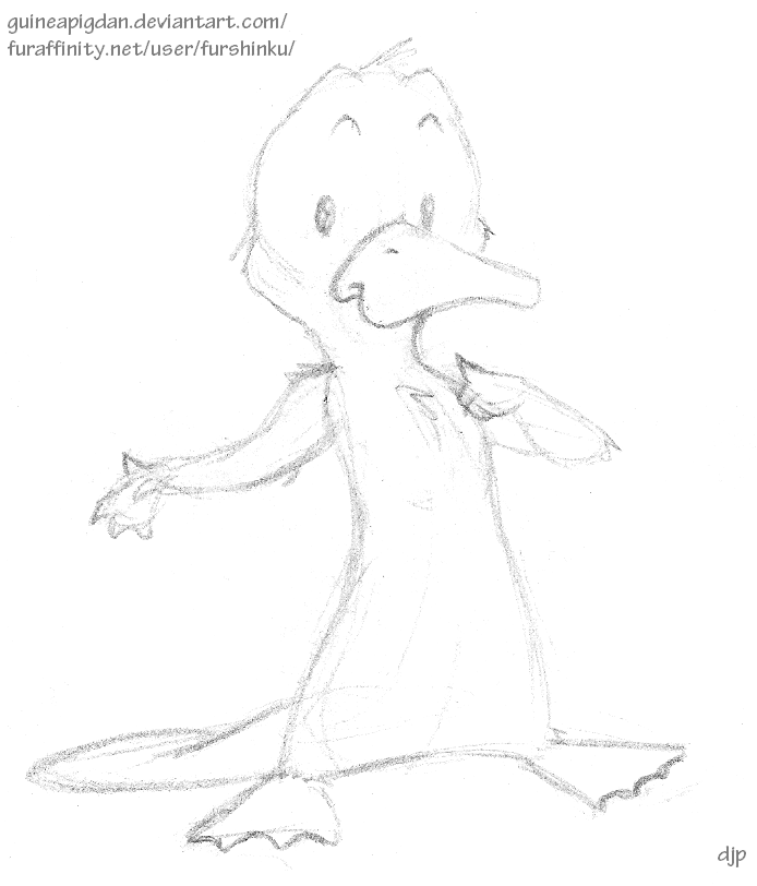 694x812 Shank The Platypus Sketch By Guineapigdan - Platypus Sketch