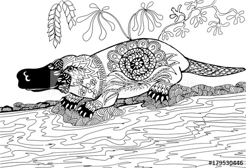 500x343 The Platypus On The Banks. Hand Drawn Patterns For Coloring - Platypus Sketch