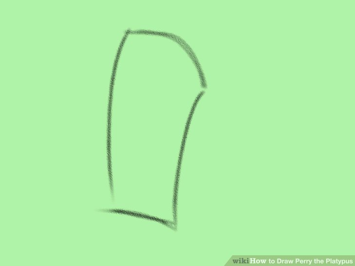 728x546 How To Draw Perry The Platypus (With Pictures) - Platypus Sketch