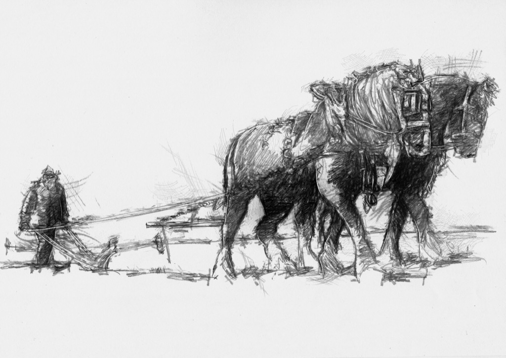 1024x726 Ploughing On - Plough Sketch