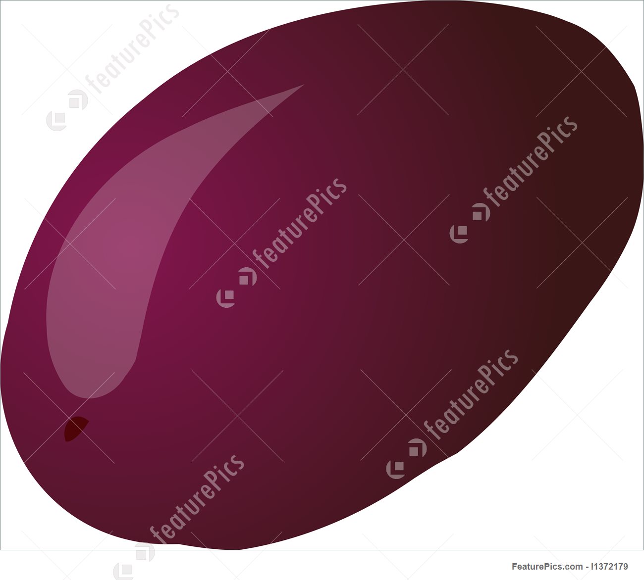 1300x1172 Illustration Of Plum Sketch - Plum Sketch