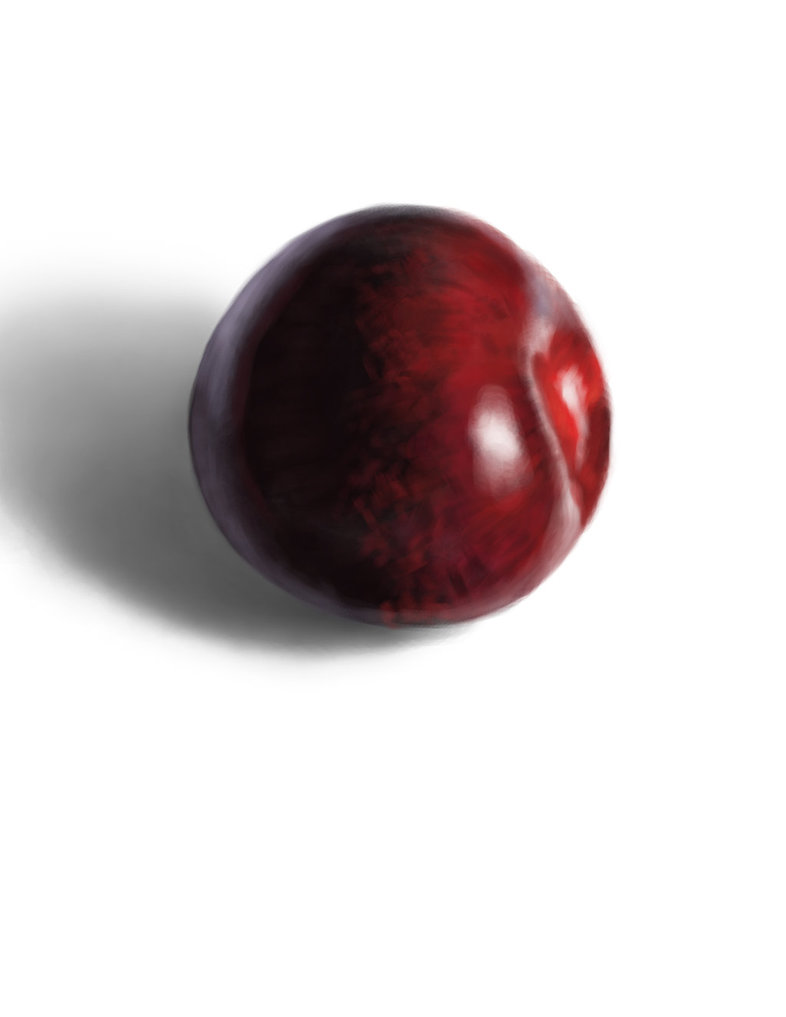 786x1017 Plum Sketch By Lumographia - Plum Sketch