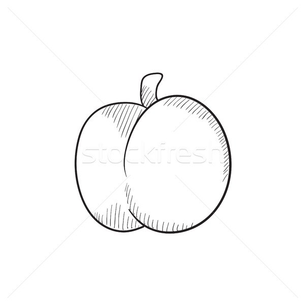 600x600 Plum With Leaf Sketch Icon. Vector Illustration Andrei Krauchuk - Plum Sketch