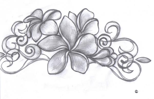 600x388 Plumeria Flower Tattoos Designs - Plumeria Flower Sketch