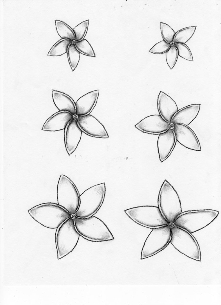 762x1049 Plumeria Flowers For Rosa 2 By Hoodlum Girl Rox - Plumeria Flower Sketch