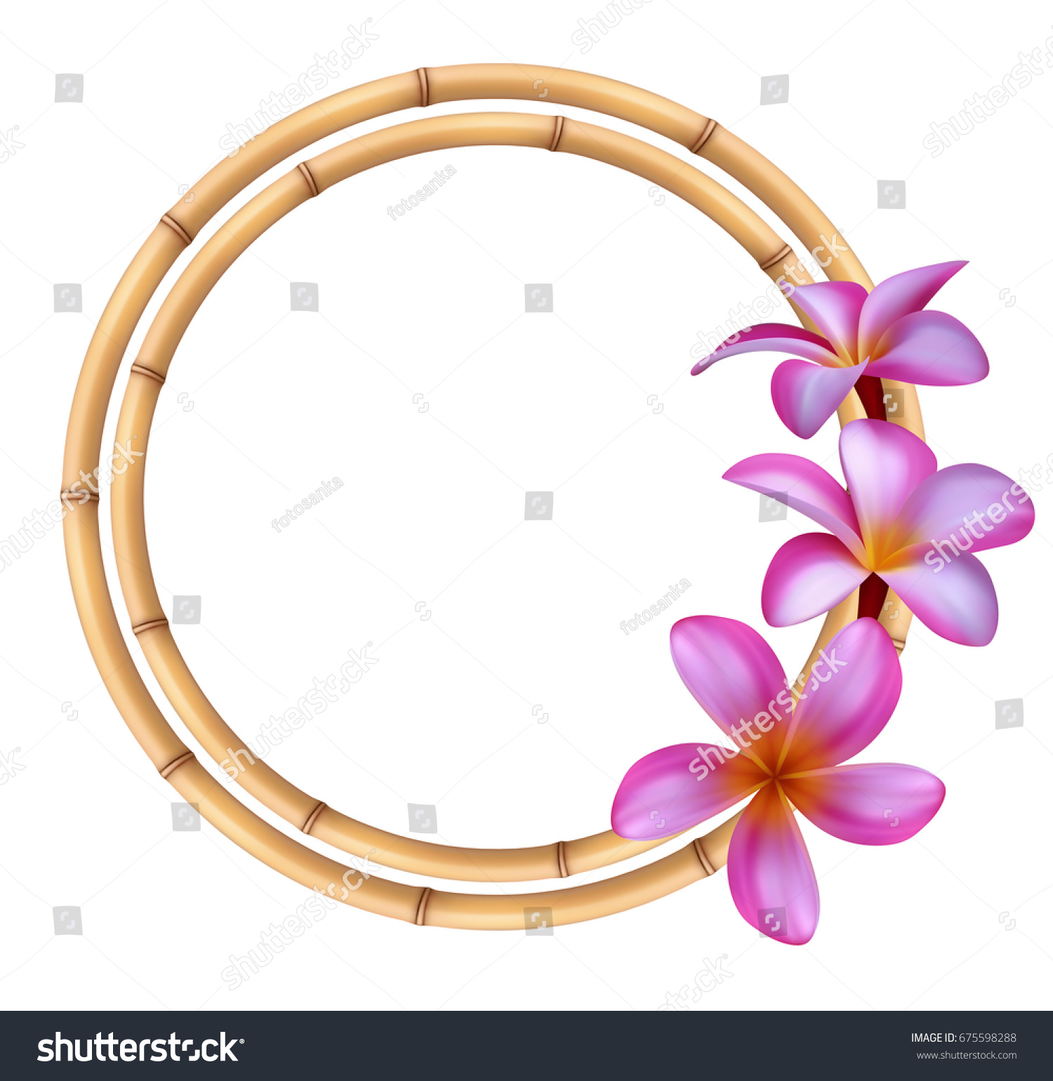 1500x1540 Plumeria Clipart Realistic Flower - Plumeria Flower Sketch