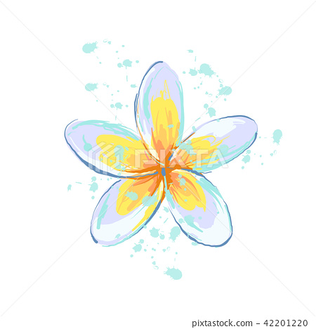 450x468 Plumeria Flower With Splash Sketch Style Hand Drawn Illustrated - Plumeria Flower Sketch