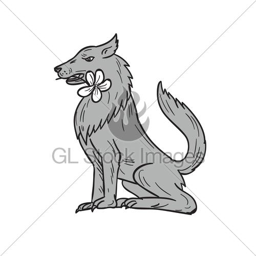 500x500 Timber Wolf Sitting Plumeria Flower Drawing Gl Stock Images - Plumeria Flower Sketch