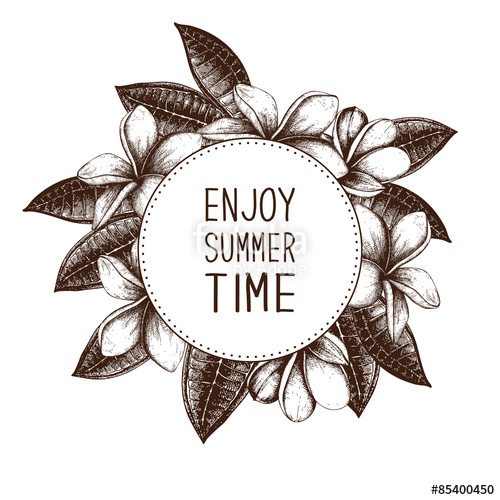 500x500 Ink Hand Drawn Frangipani (Plumeria) Sketch. Tropical Flower Frame - Plumeria Sketch