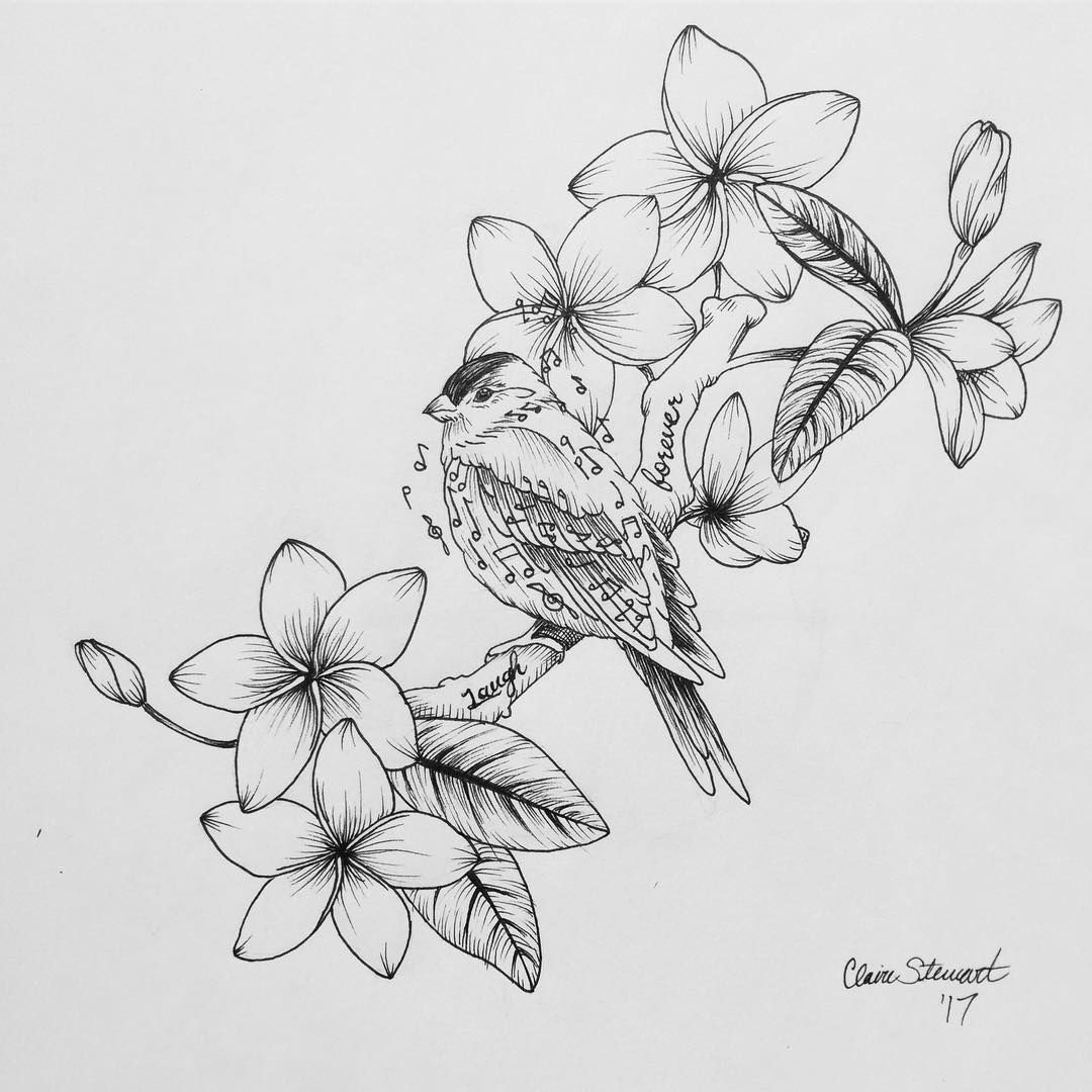 1080x1080 Closer Image Of My Little Song Bird With Plumeria! - Plumeria Sketch