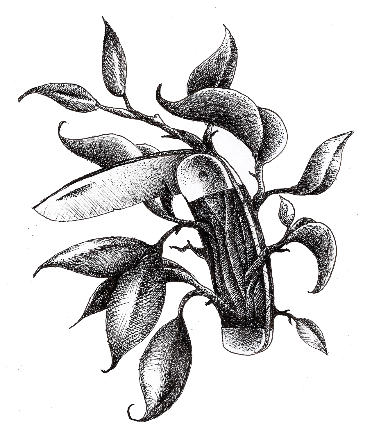 1280x1523 In The Woods, Of The Woods Iii Knife And It Is Good - Pocket Knife Sketch