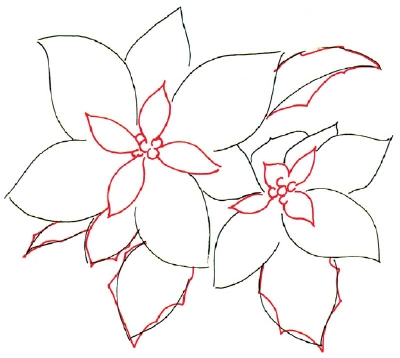 400x358 2. Sketch Blossoms - Poinsettia Sketch