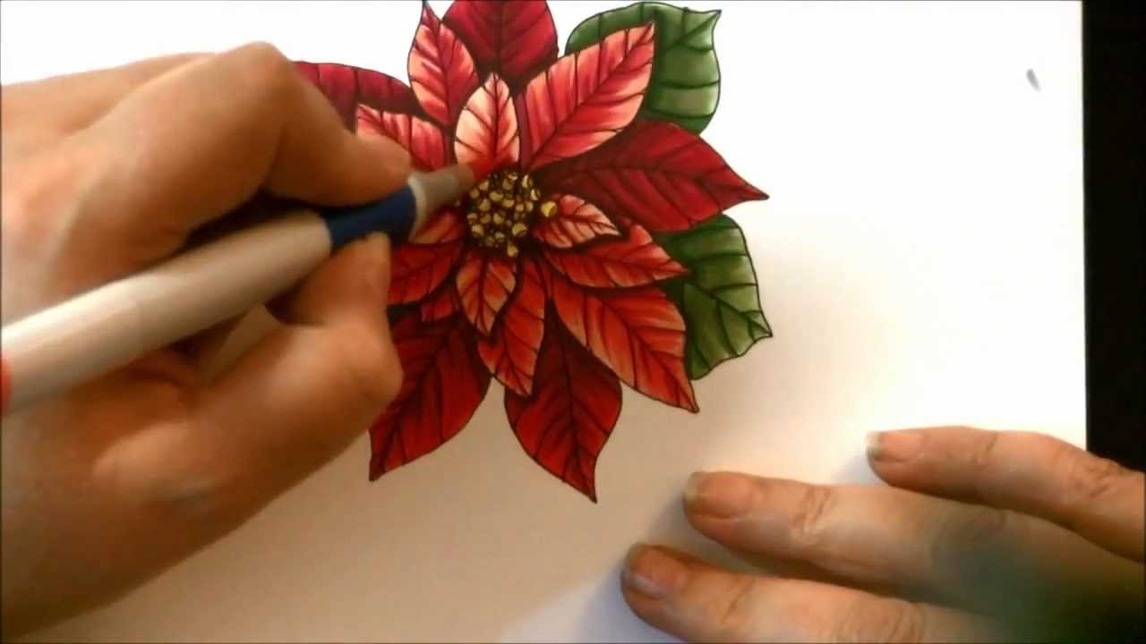 1280x720 Poinsettia Drawing And Copics - Poinsettia Sketch