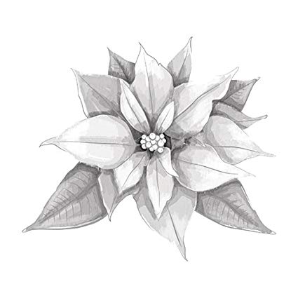 425x425 Spellbinders 3d Shading Poinsettia Stamps - Poinsettia Sketch