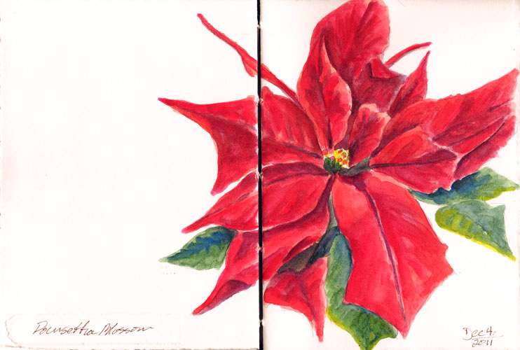 742x500 Bluebird Hill Sketchbook Tuesday - Poinsettia Sketch