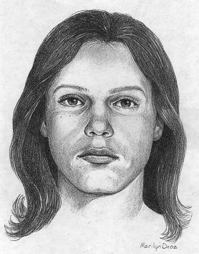 392x500 Filedana Point Jane Doe Sketch.jpg - Point Sketch