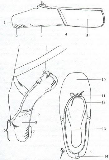 350x512 The Anatomy Of A Pointe Shoe Manyet Dance - Pointe Shoe Sketch
