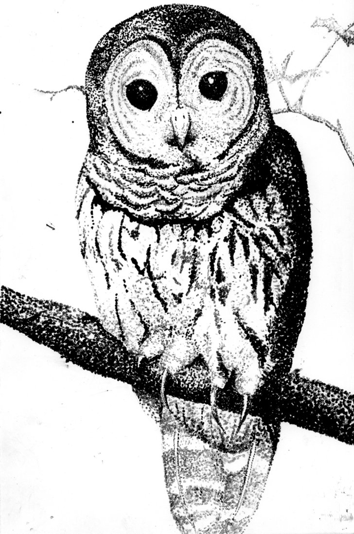 728x1098 Sketch Head In The Clouds, Feet On The Ground. - Pointillism Sketch