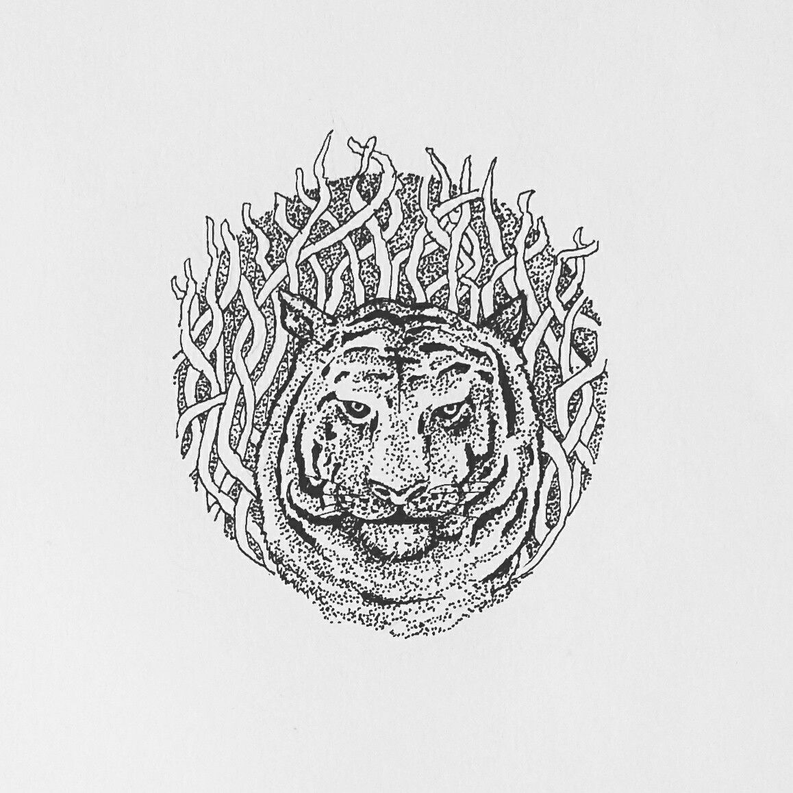 1158x1158 Harimau Sumatera - Pointillism Sketch