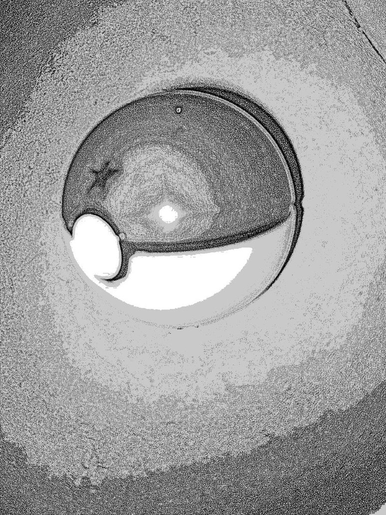 774x1032 Pokeball Sketch By Enteithelegendary - Pokeball Sketch