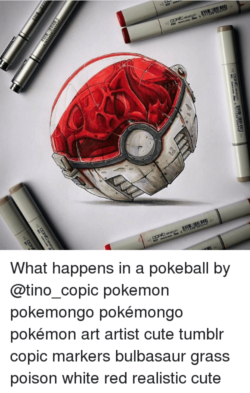 500x786 Cortsketch 0032991 03 T Sketch 010111 R52 See Sanajoo 4 - Pokemon Ball Sketch