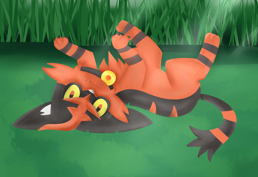 1024x704 Torracat (Pokemon Sun And Moon) By Sketch Games - Pokemon Sketch Games