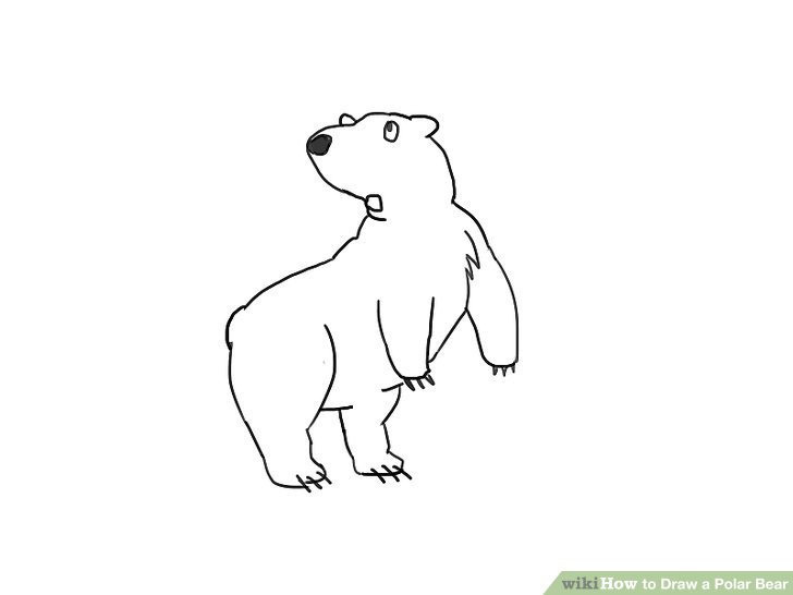 728x546 How To Draw A Polar Bear 14 Steps (With Pictures) - Polar Bear Sketch
