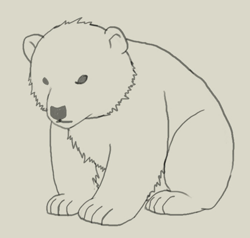 500x476 How To Draw Polar Bear Cub - Polar Bear Sketch