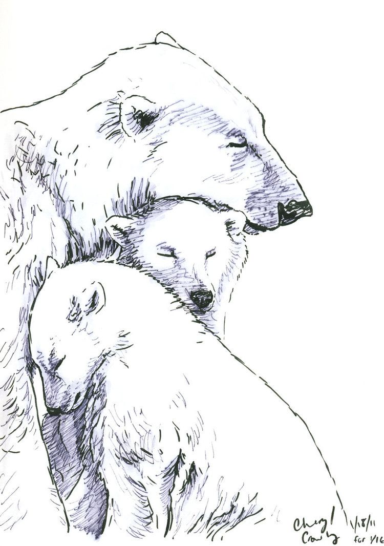 750x1066 Bear Sketches Polar Bear Sketch By Silvercrossfox - Polar Bear Sketch