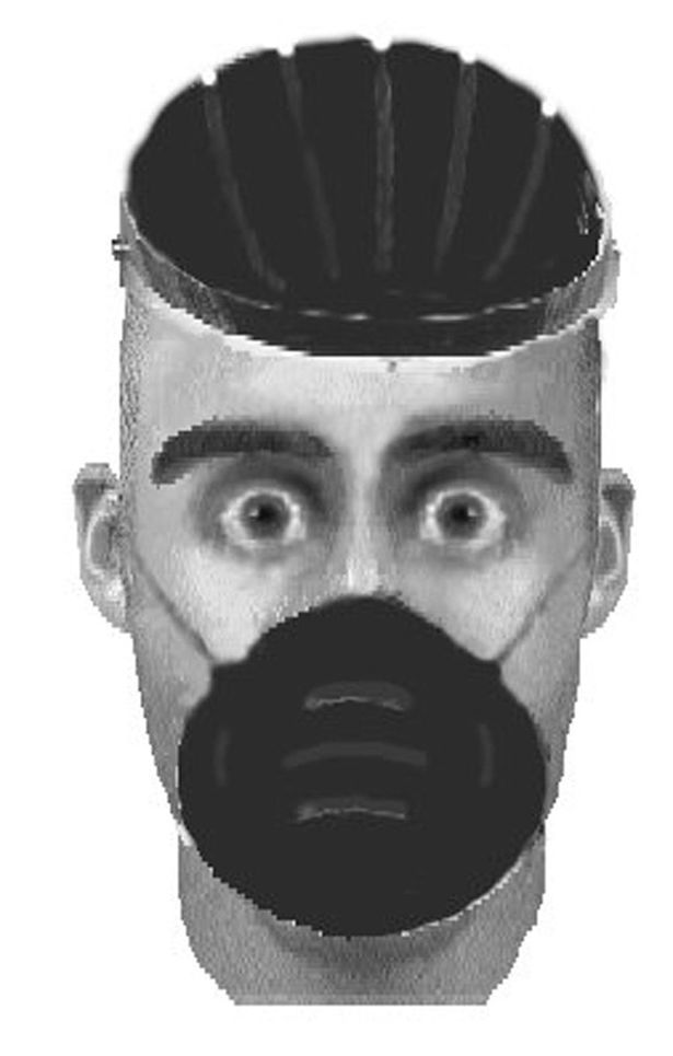 615x965 Odd E Fits, Weird Photofits And Strange Suspect Pictures - Police Sketch Maker